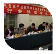 2006年3月10日，“產生負離子功能粉體及相關建材制品測試方法”行業(yè)標準審查會在北京召開。